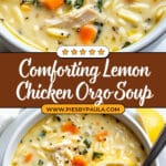 Lemony Chicken and Orzo Soup Recipe