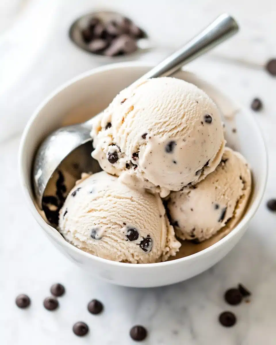 Peanut Butter Chocolate Chip Cottage Cheese Ice Cream Recipe