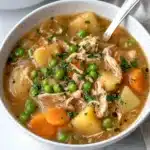 Slow Cooker Chicken Stew Recipe