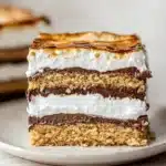 No Bake S’mores Cake Recipe