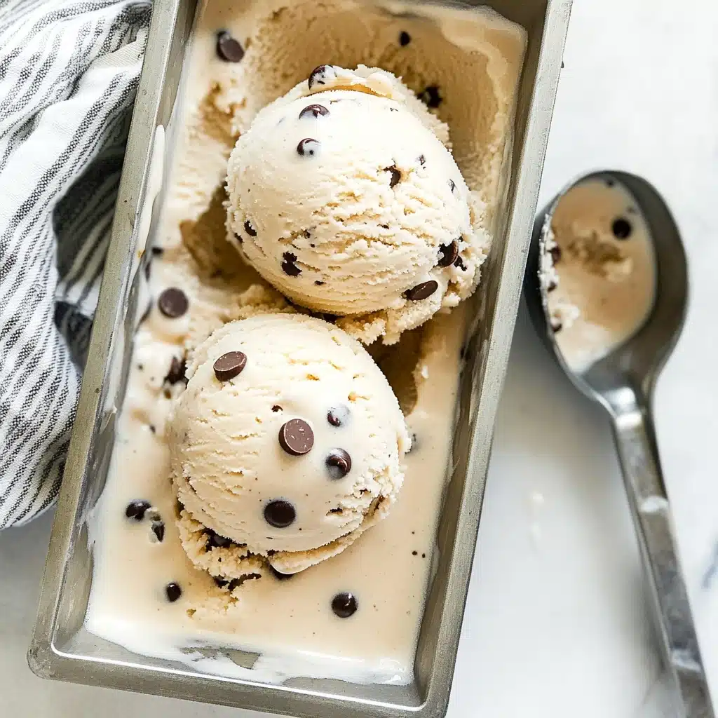 Peanut Butter Chocolate Chip Cottage Cheese Ice Cream Recipe - Recipe Image