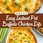 Instant Pot Buffalo Chicken Dip Recipe