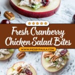 Cranberry Chicken Salad on Apple Slices Recipe