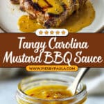 Carolina Mustard BBQ Sauce Recipe