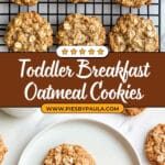 Healthy Oatmeal Toddler Breakfast Cookies Recipe