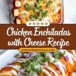 Chicken Enchiladas Recipe