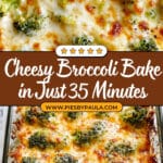 Broccoli Cheese Casserole Recipe