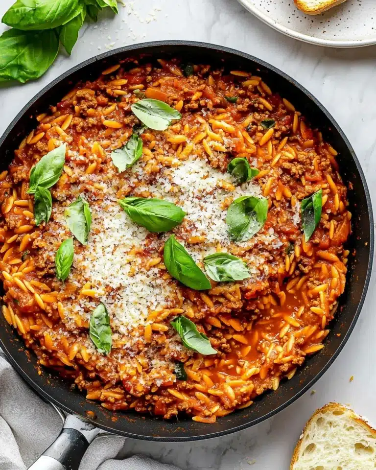 Ground Beef and Orzo Recipe