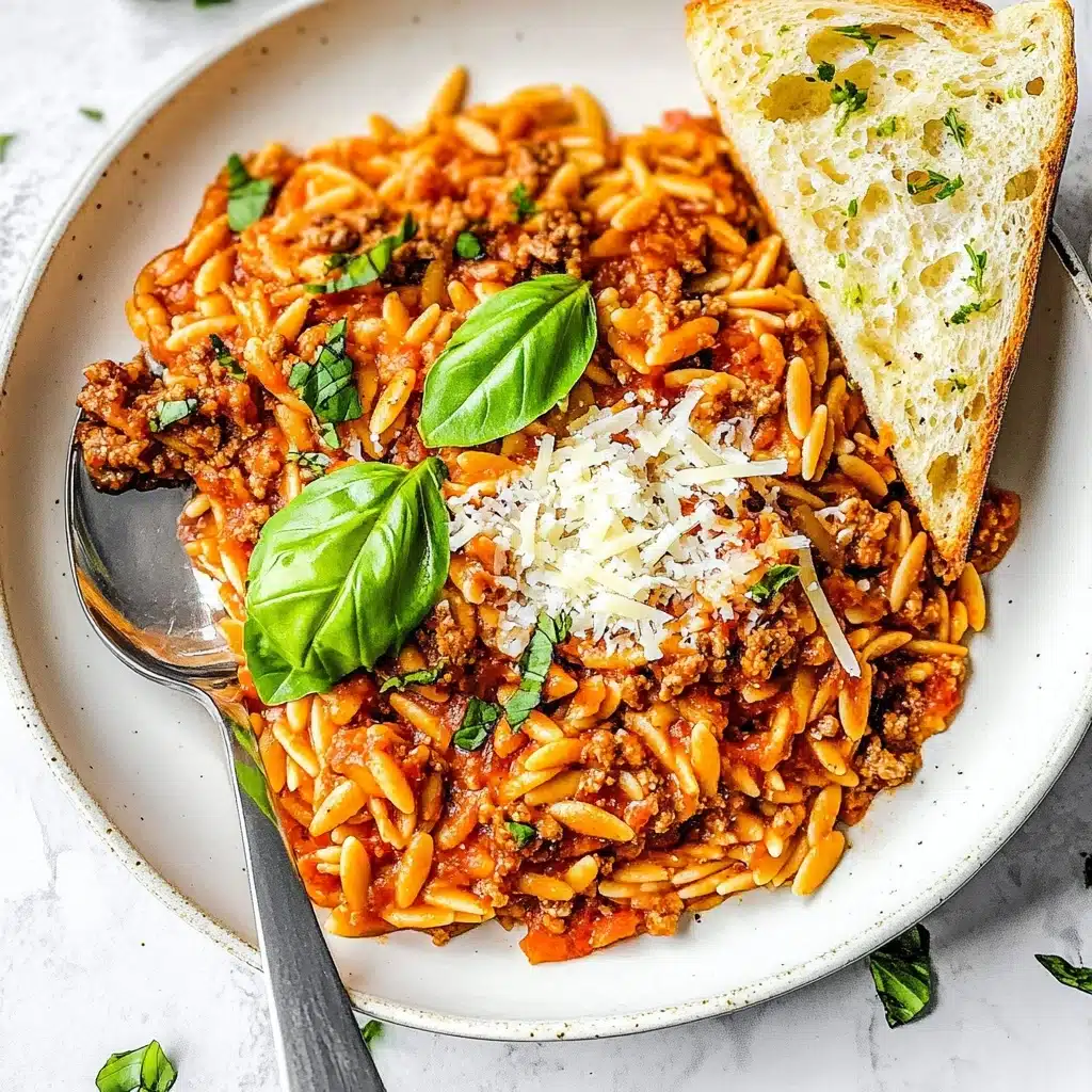 Ground Beef and Orzo Recipe - Recipe Image