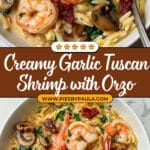 Garlic Orzo Tuscan Shrimp Recipe