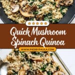 Mushroom Spinach Quinoa Recipe