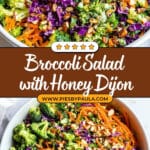 Broccoli Salad with Honey Dijon Dressing Recipe