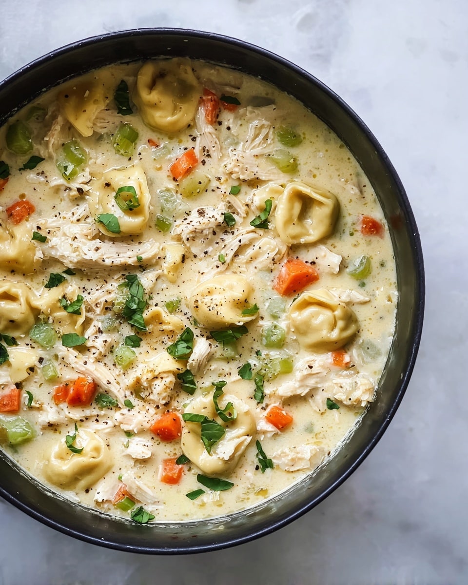 Chicken Tortellini Soup Recipe - Recipe Image