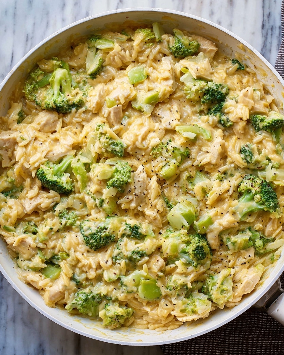 Creamy Chicken and Broccoli Orzo Recipe - Recipe Image