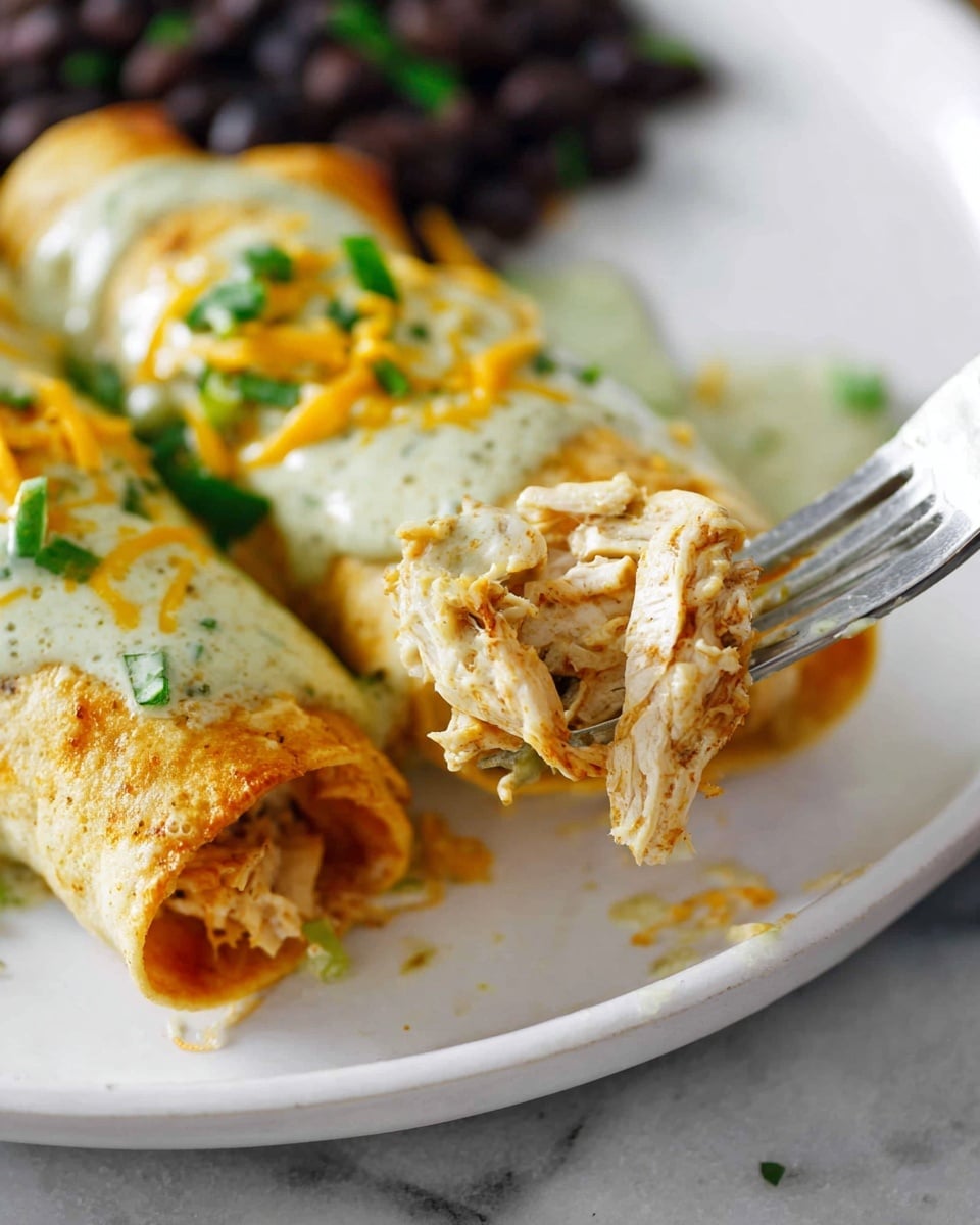 Pumpkin Chicken Enchiladas Recipe - Recipe Image