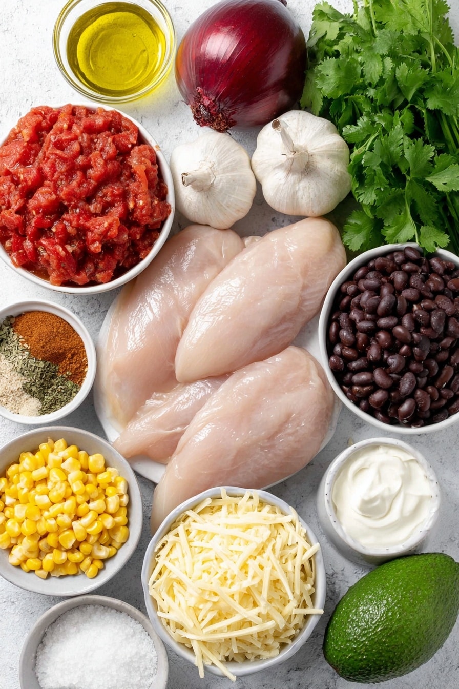 Healthy Chicken Tortilla Soup Recipe - Ingredients