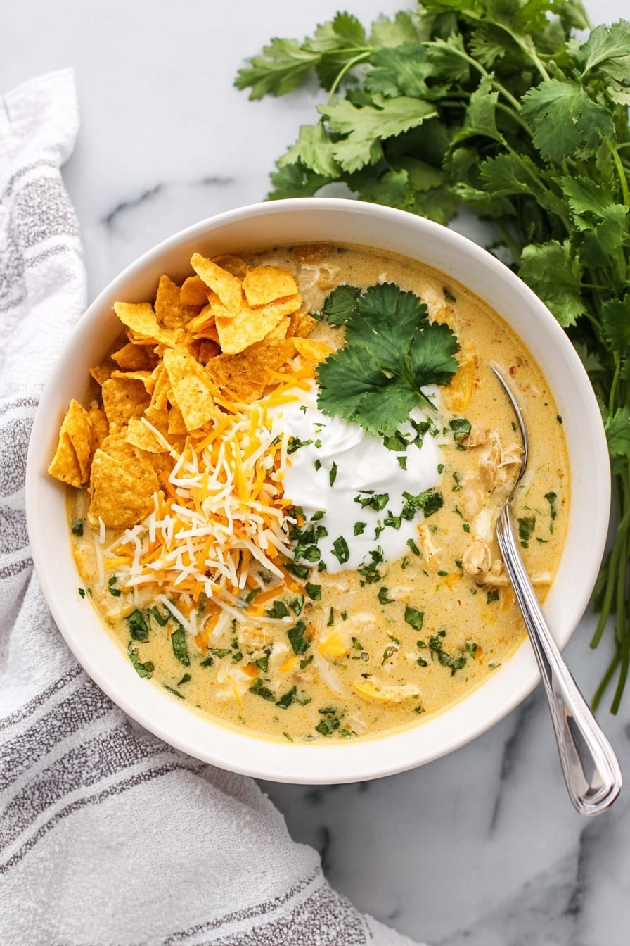 Green Enchilada Chicken Soup Recipe - Serving