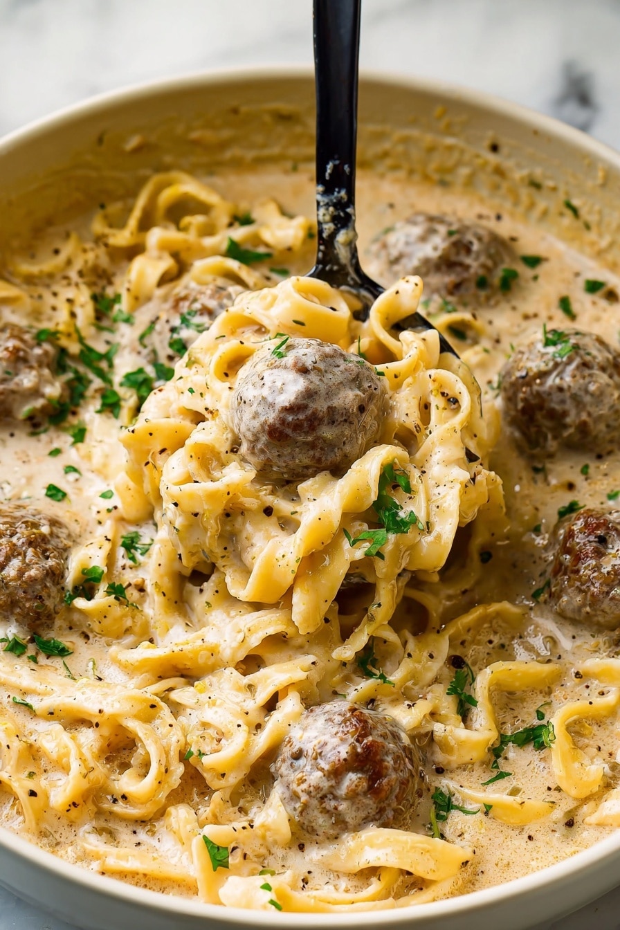Swedish Meatball Soup Recipe - Recipe Step